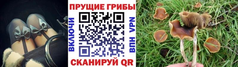 Галлюциногенные грибы ЛСД  купить   Среднеколымск 